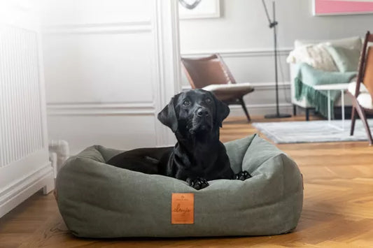 Lit pour chien Classic Nest – Détails en cuir | Denjo Dogs